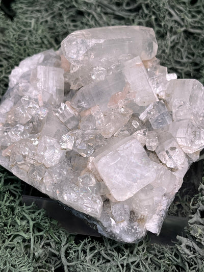 Apophyllit Stufe aus Indien (92g) - schöne grosse Kristalle - crystal paradise