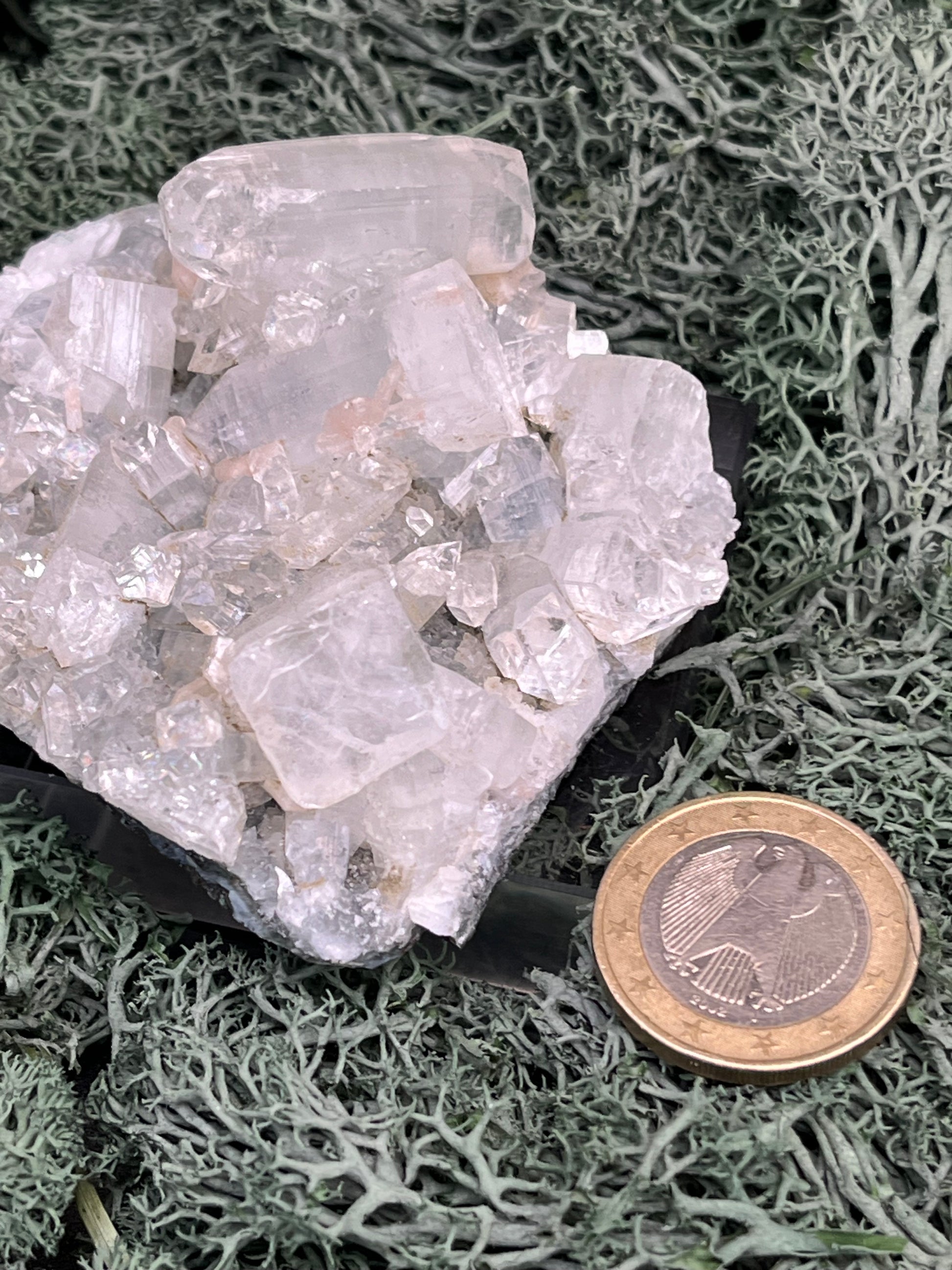 Apophyllit Stufe aus Indien (92g) - schöne grosse Kristalle - crystal paradise