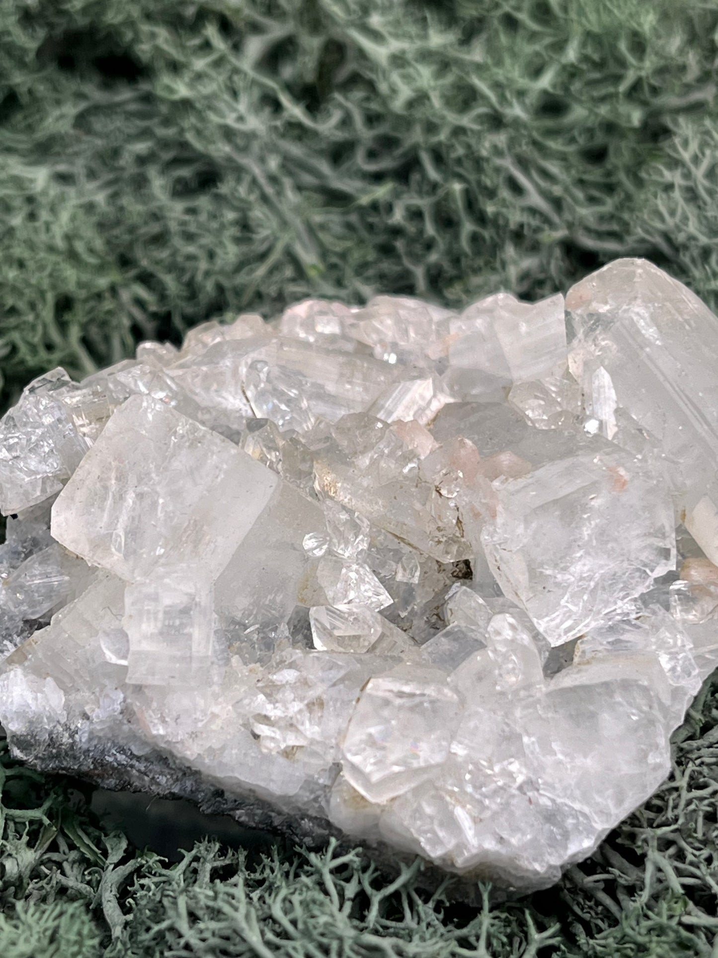 Apophyllit Stufe aus Indien (92g) - schöne grosse Kristalle - crystal paradise