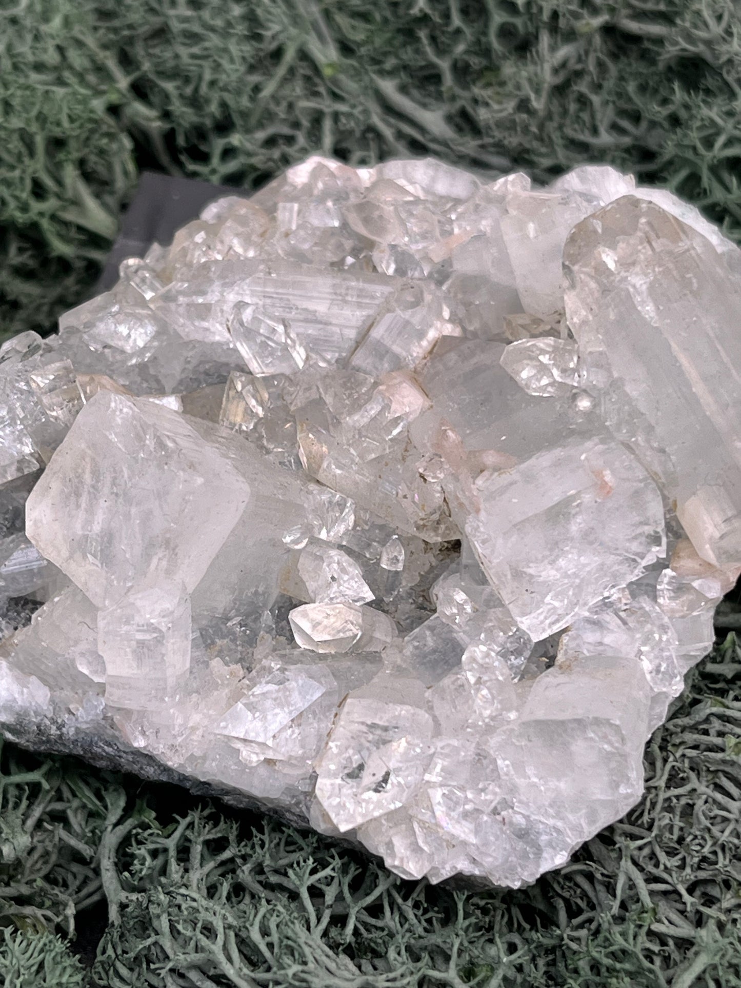 Apophyllit Stufe aus Indien (92g) - schöne grosse Kristalle - crystal paradise