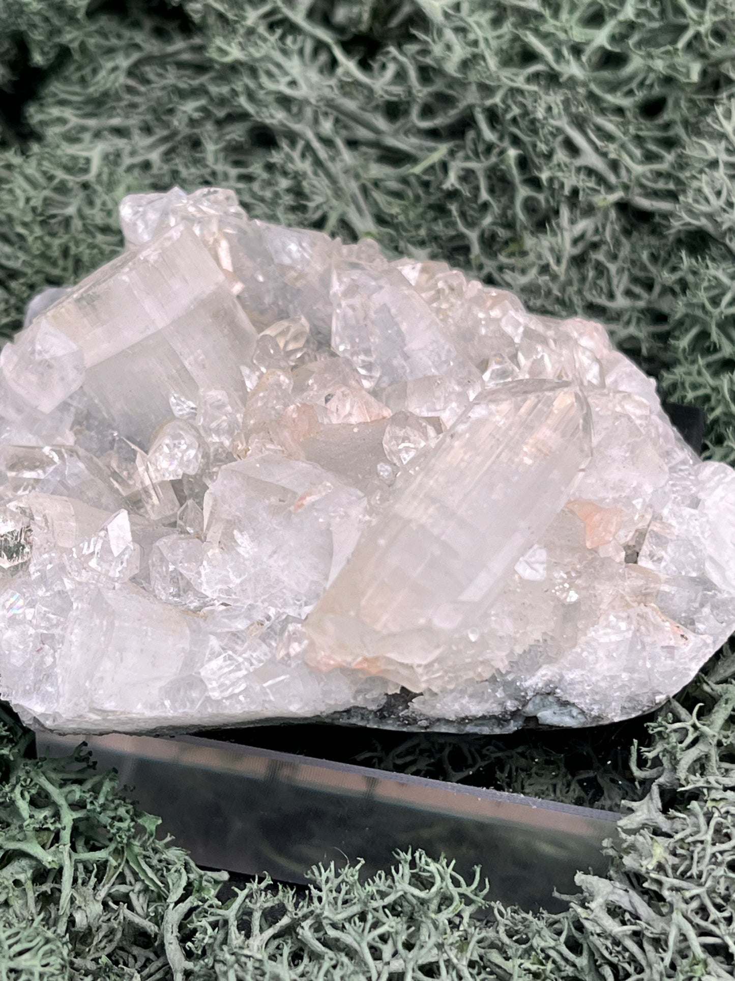 Apophyllit Stufe aus Indien (92g) - schöne grosse Kristalle - crystal paradise