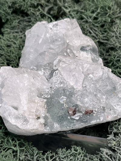 Apophyllit Handstufe aus Indien (121g) - schöne grosse Kristalle - crystal paradise