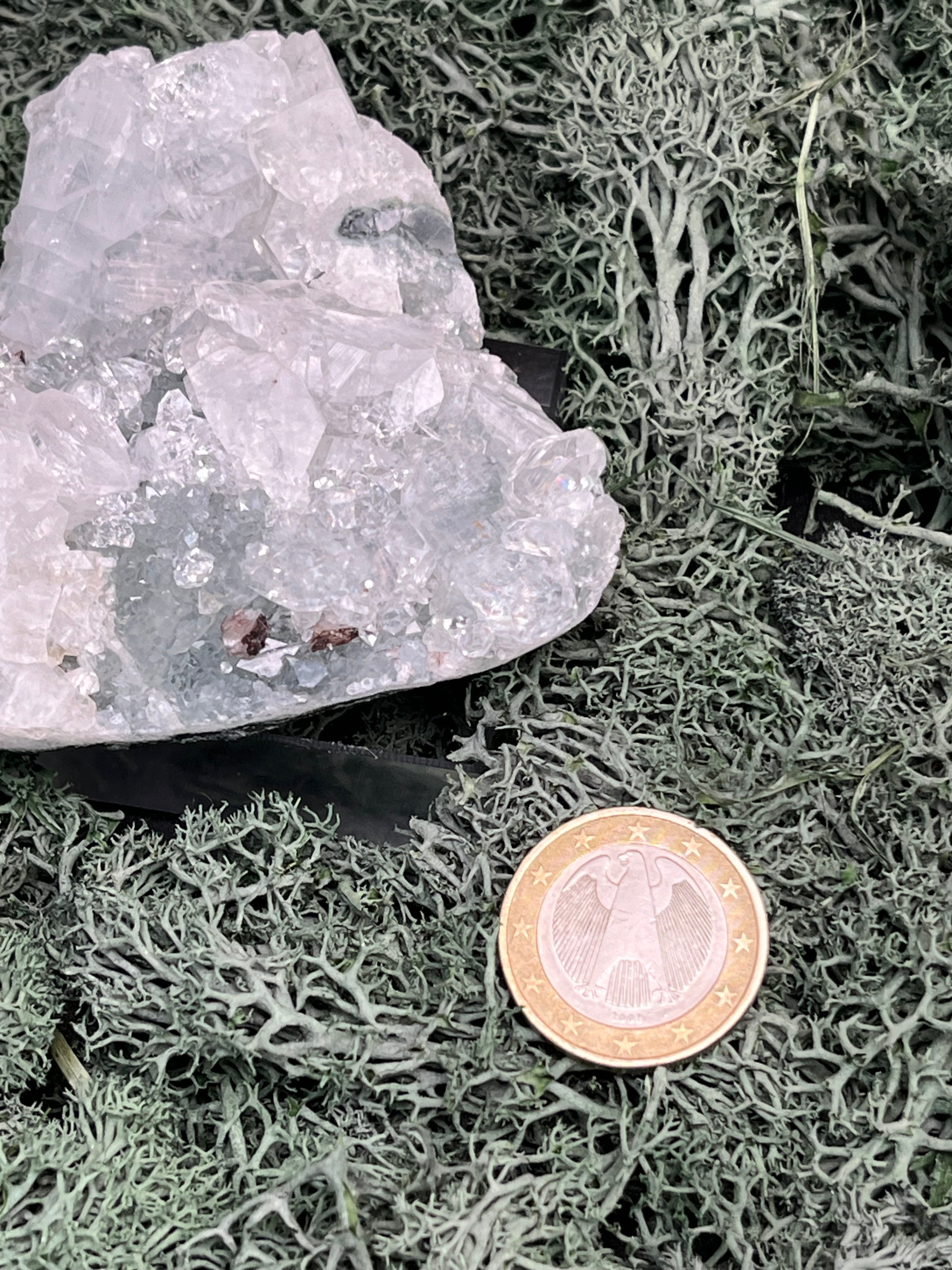 Apophyllit Handstufe aus Indien (121g) - schöne grosse Kristalle - crystal paradise