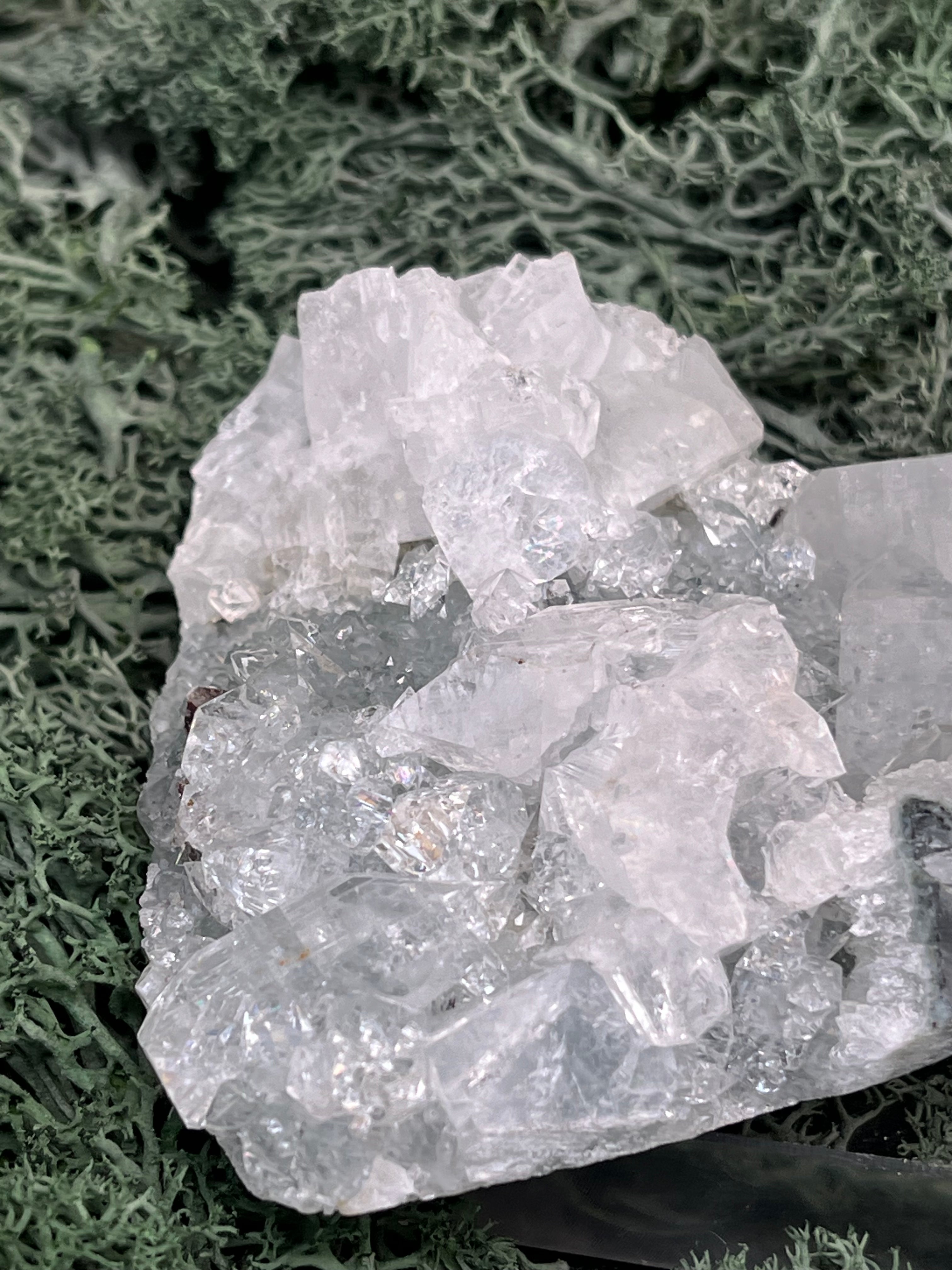 Apophyllit Handstufe aus Indien (121g) - schöne grosse Kristalle - crystal paradise
