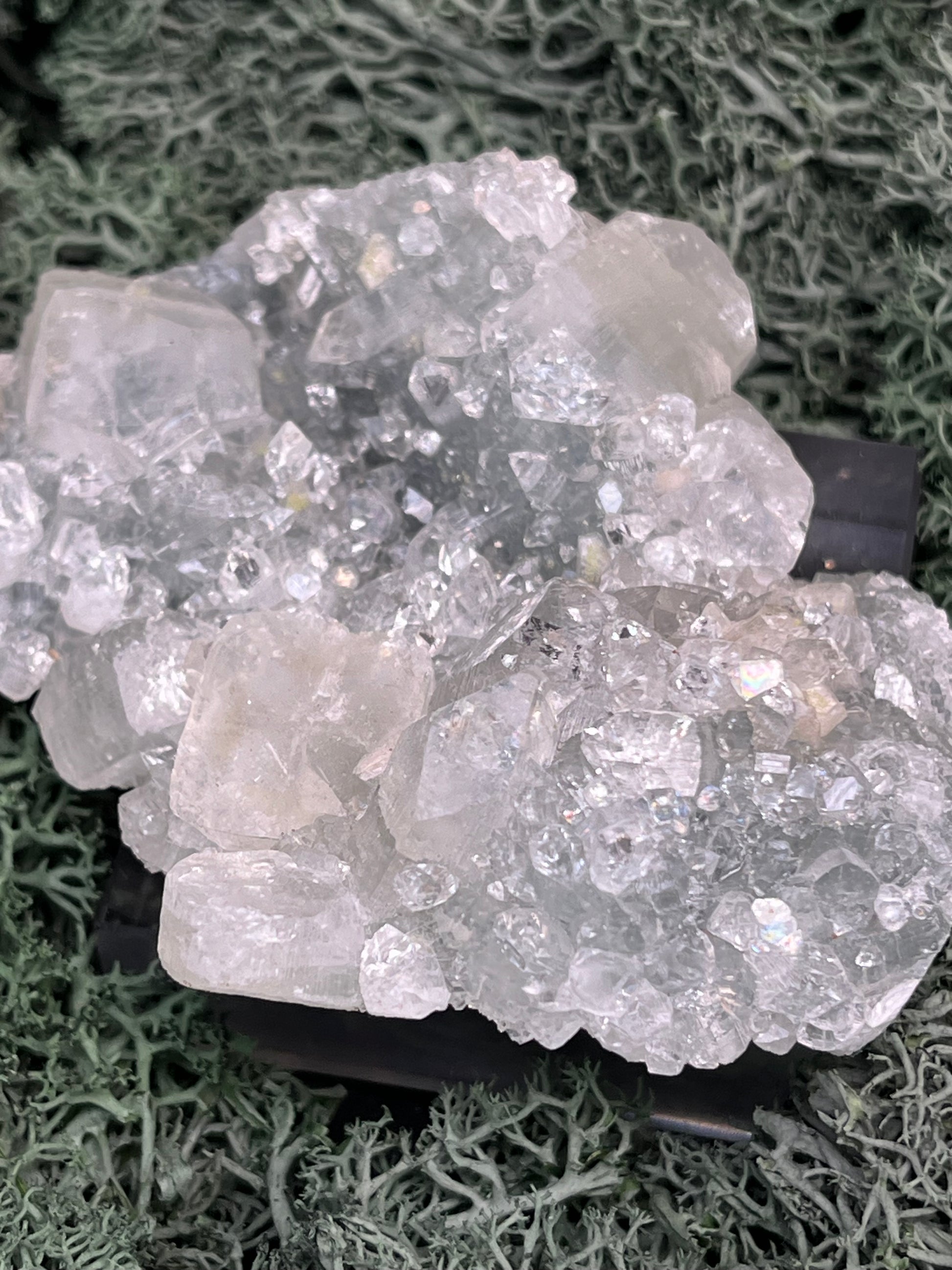 Apophyllit Handstufe aus Indien (115g) - schöne grosse Kristalle - crystal paradise