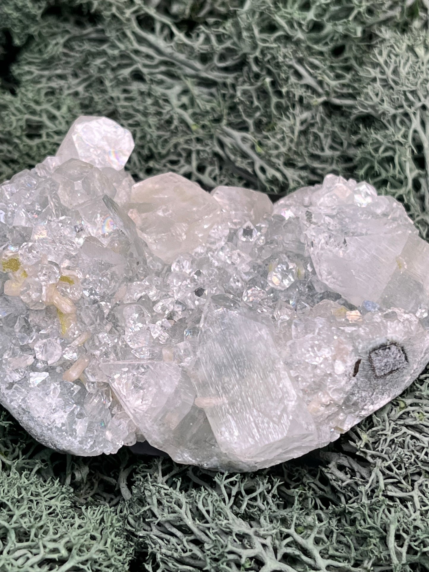 Apophyllit Handstufe aus Indien (115g) - schöne grosse Kristalle - crystal paradise