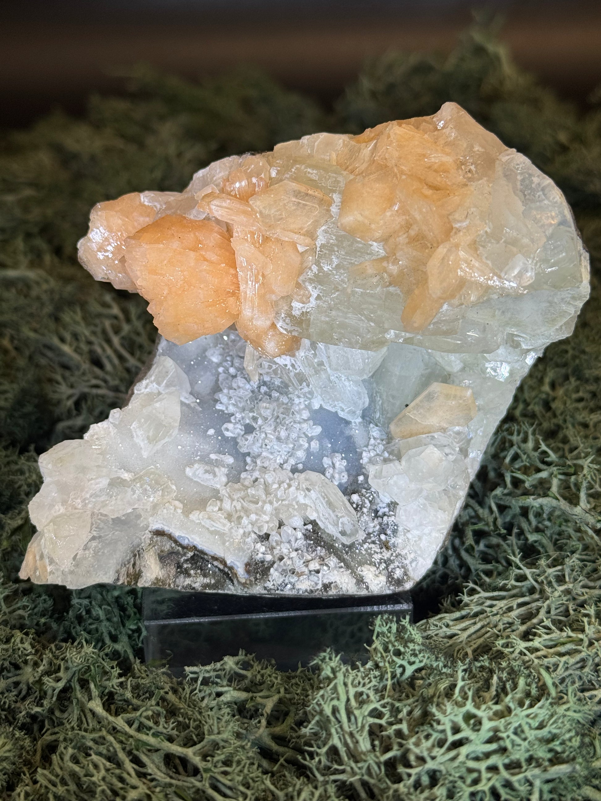 Apophyllit Stilbit Cluster aus Indien (639g) - crystal paradise