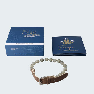 Labradorit–wirkt ausgleichend bei Stimmungsschwankungen - Hundehalsband crystalpower®