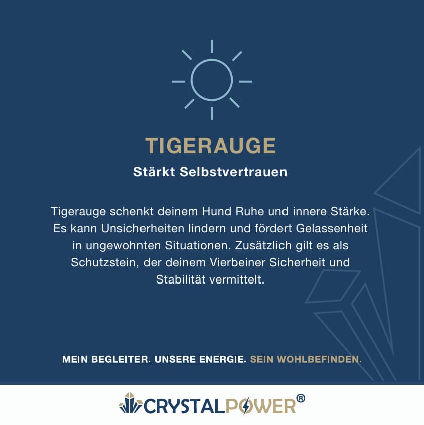 Tigerauge–stärkt Selbstvertrauen 