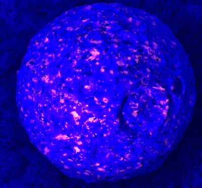 Yooperlit Mond aus Michigan / USA (1500g) - "Glowing Rock" - UV reaktiv - crystal paradise