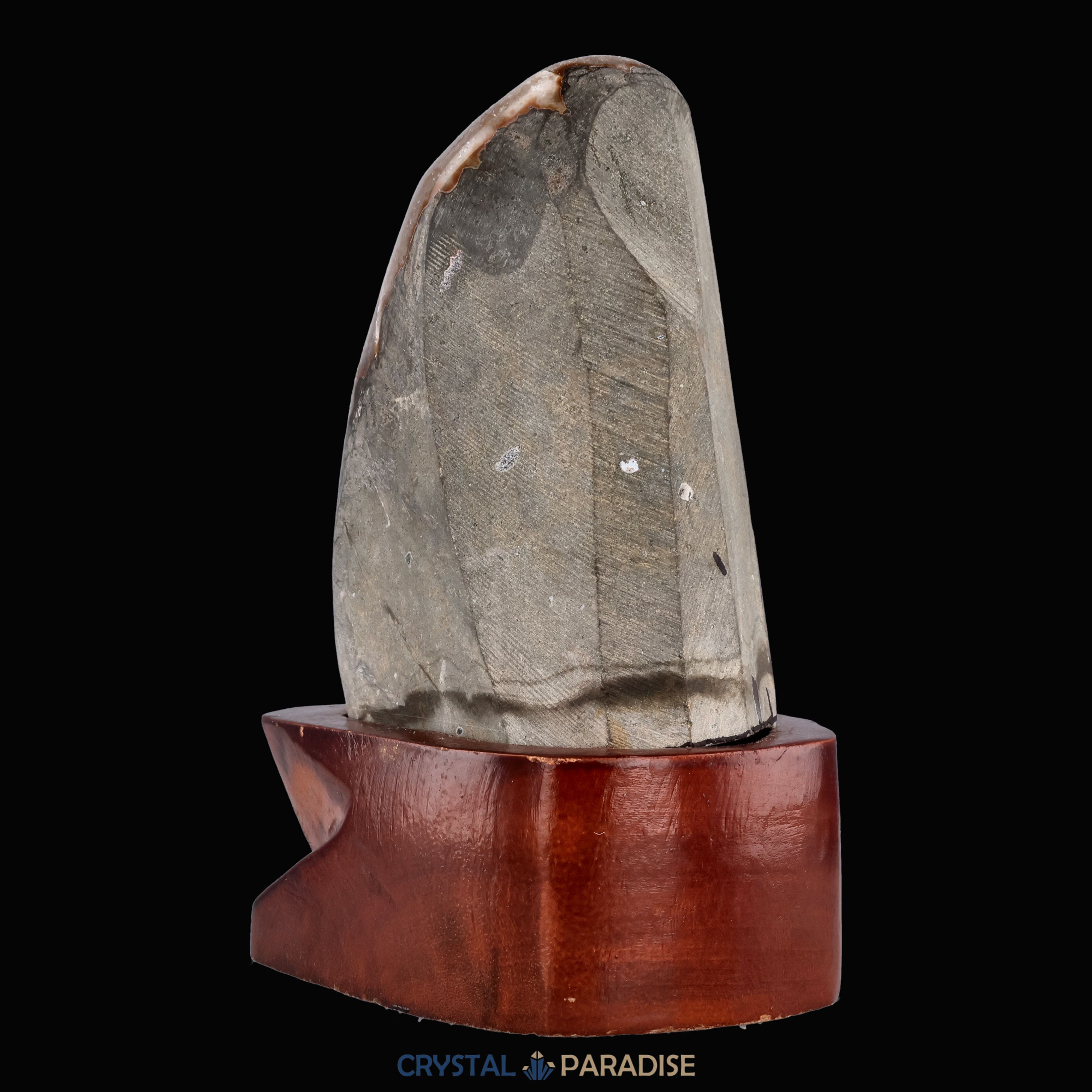 Amethyst Druse auf Holzständer (1140g) – Ansicht 8