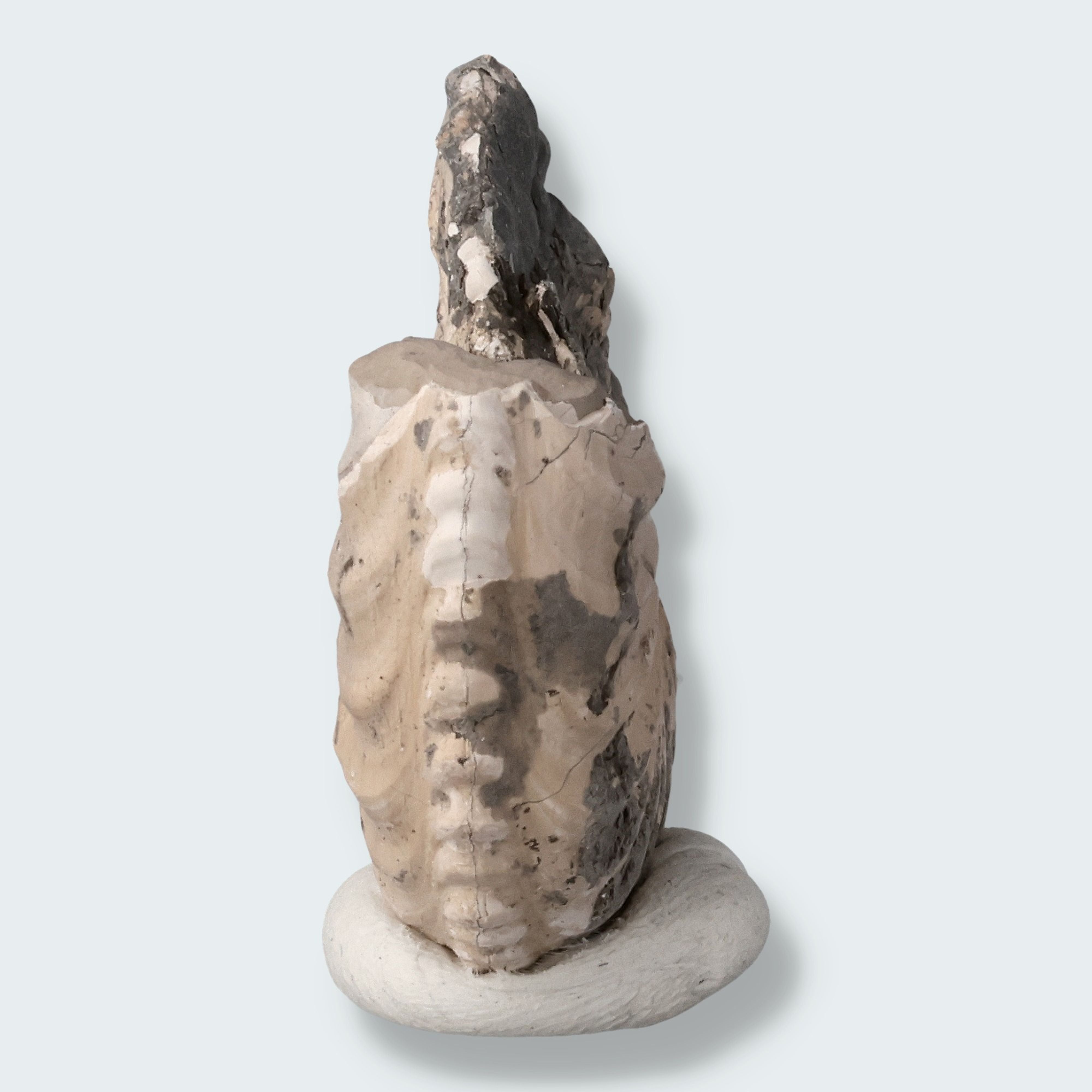 Ammonit aus der Oberpfalz 16g – Ansicht 3