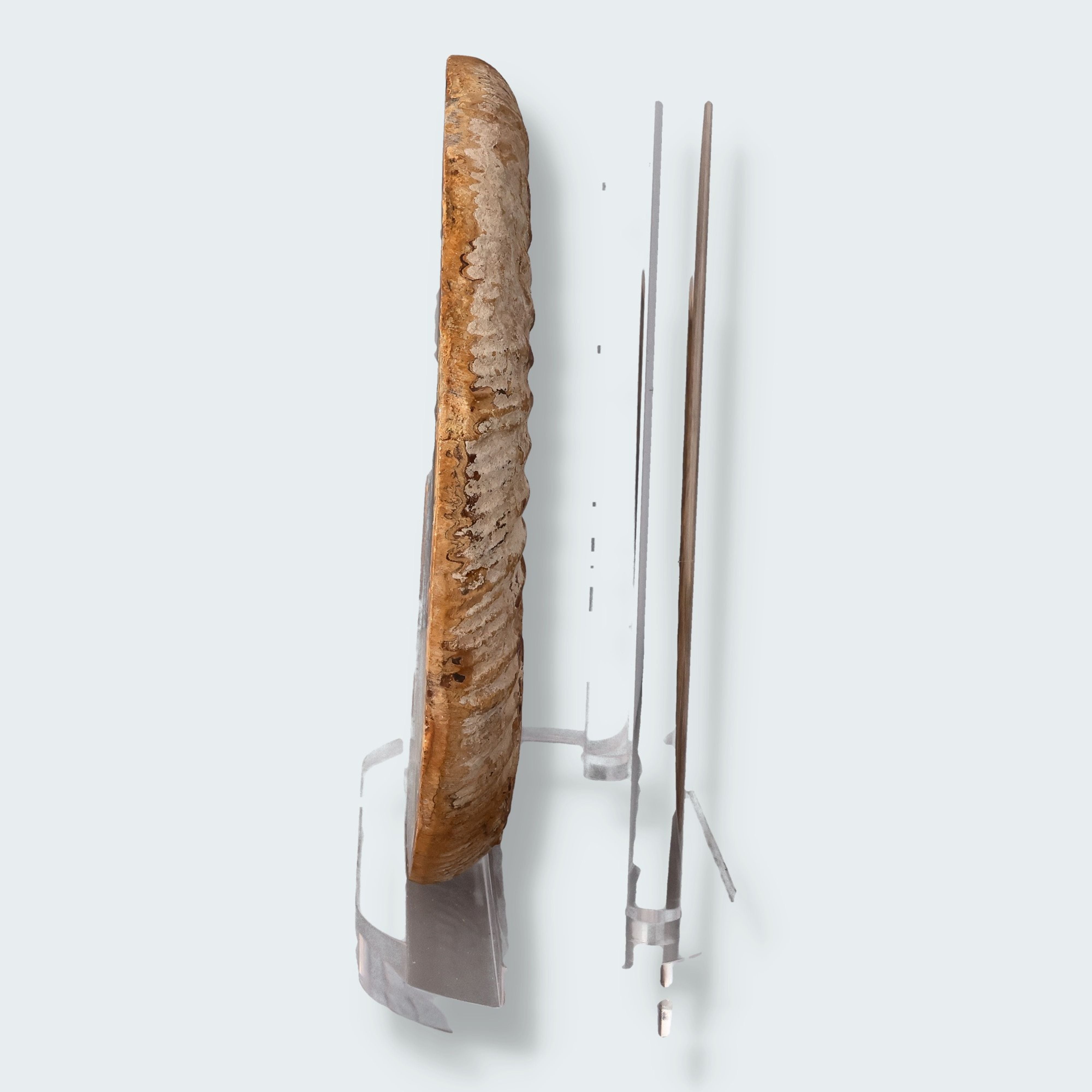Ammonitenpaar aus Madagaskar (2668g) – Ansicht 3