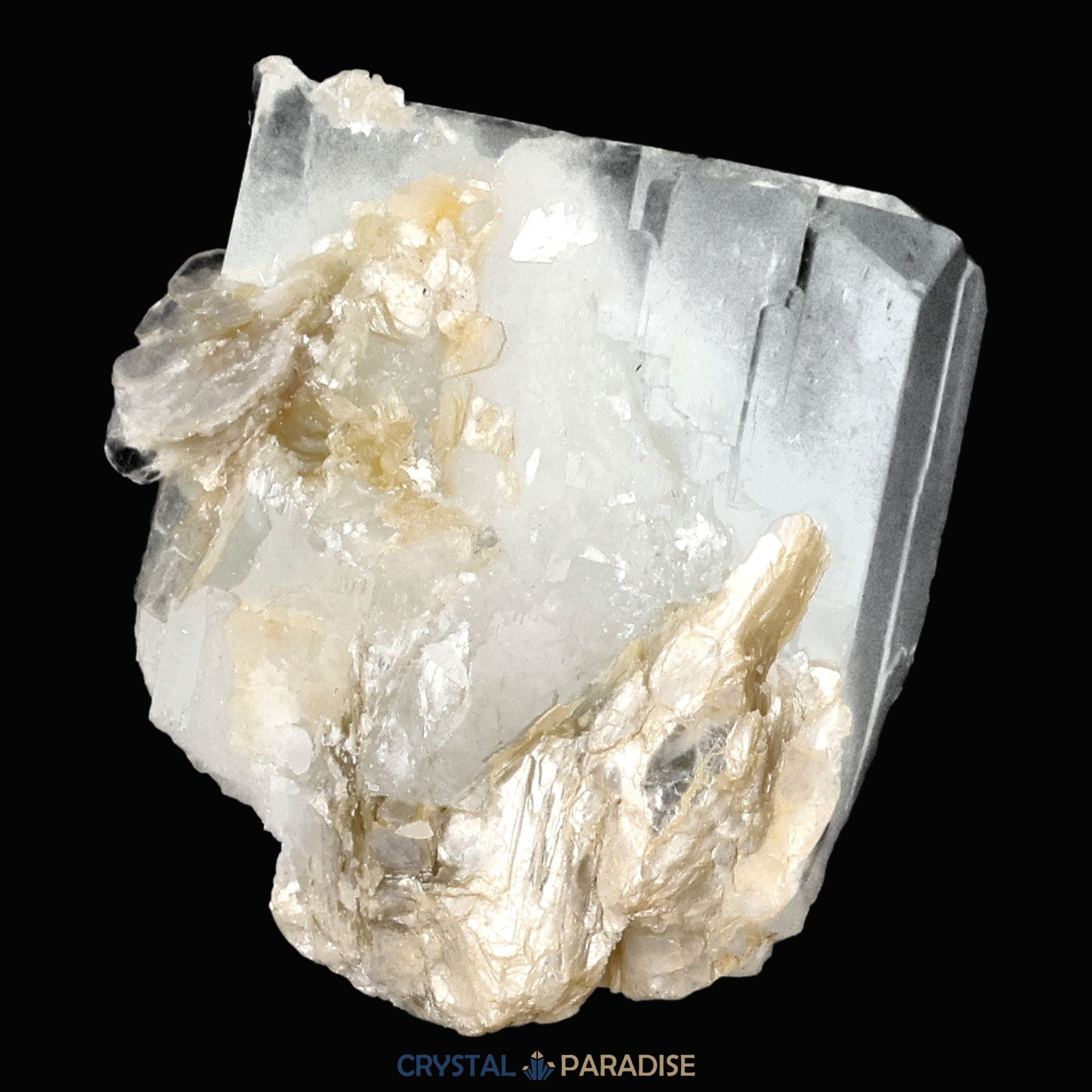 Aquamarin Kristall auf Feldspat aus Pakistan (11g) – Ansicht 7