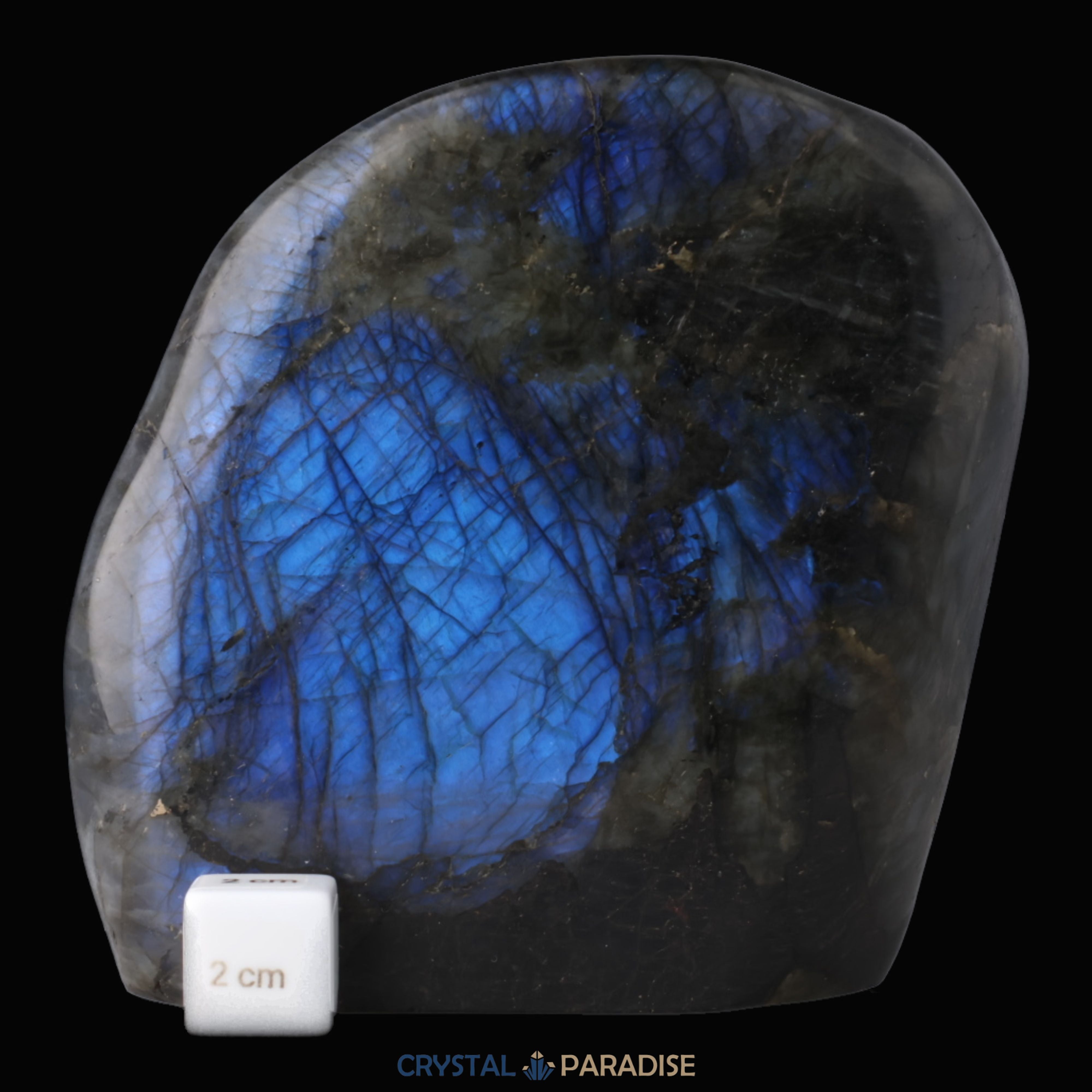 Blaue Labradorit Freeform aus Madagaskar (1276g) – Ansicht 2