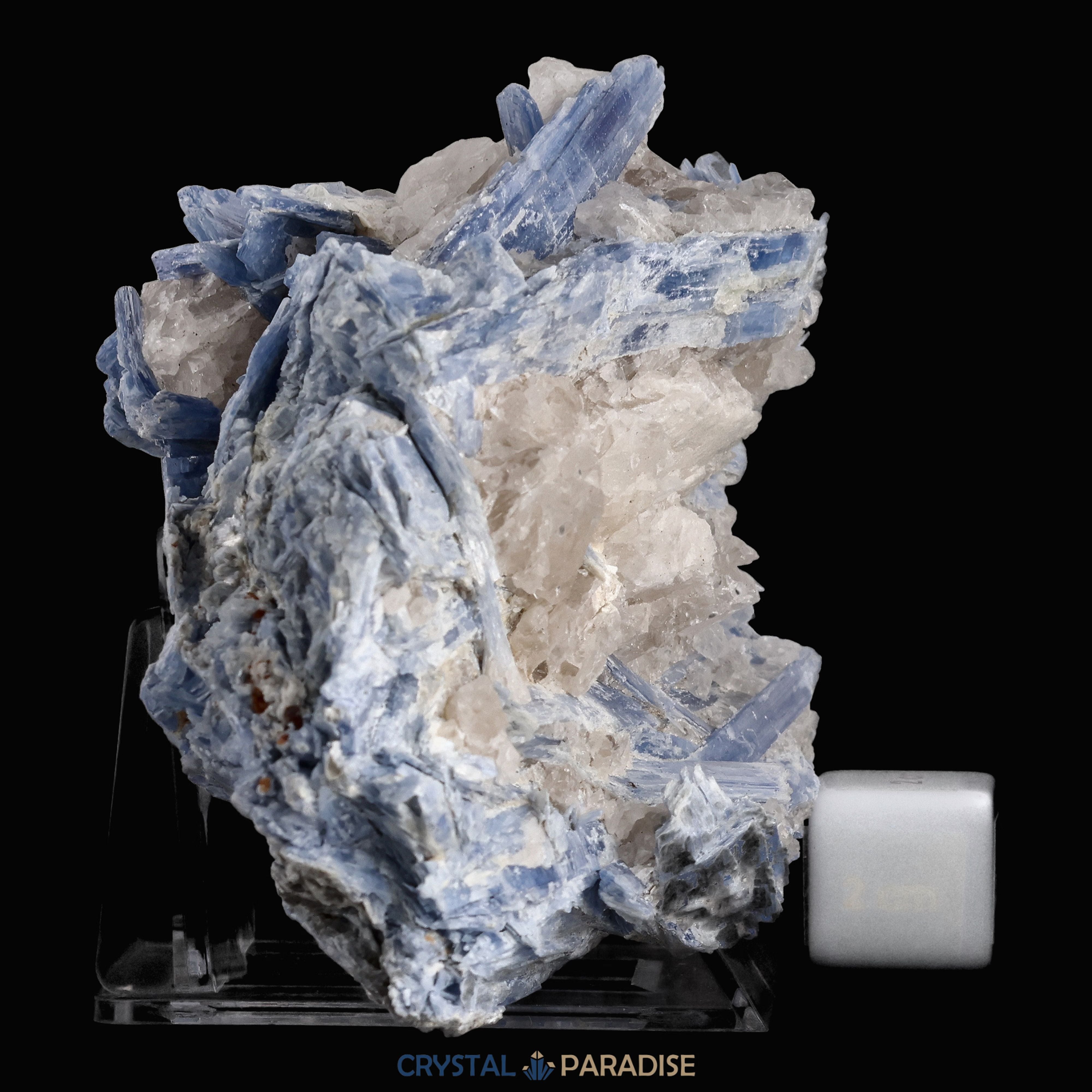 Blauer Kyanit aus Brasilien (1303g) – Ansicht 6