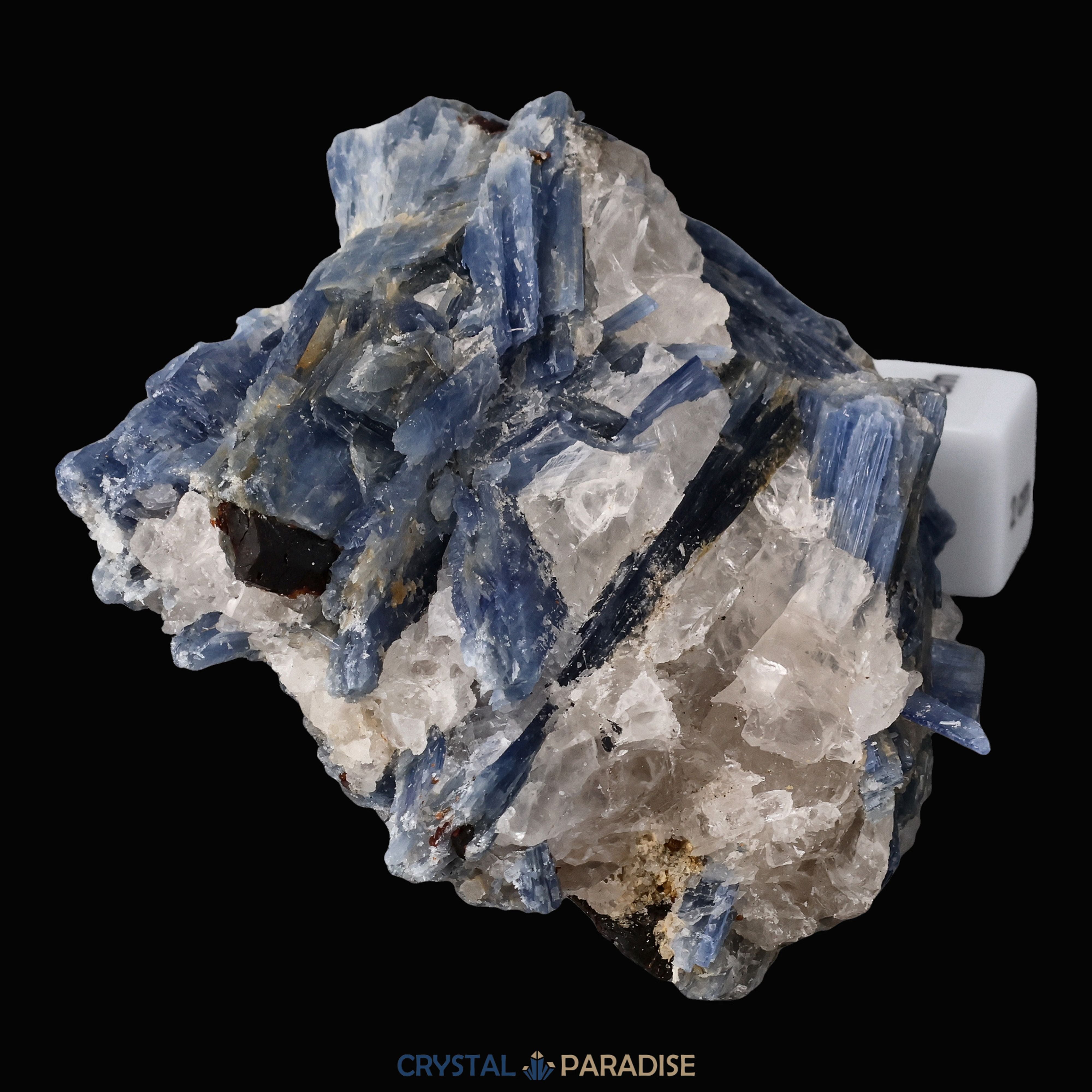 Blauer Kyanit aus Brasilien (784g) – Ansicht 10