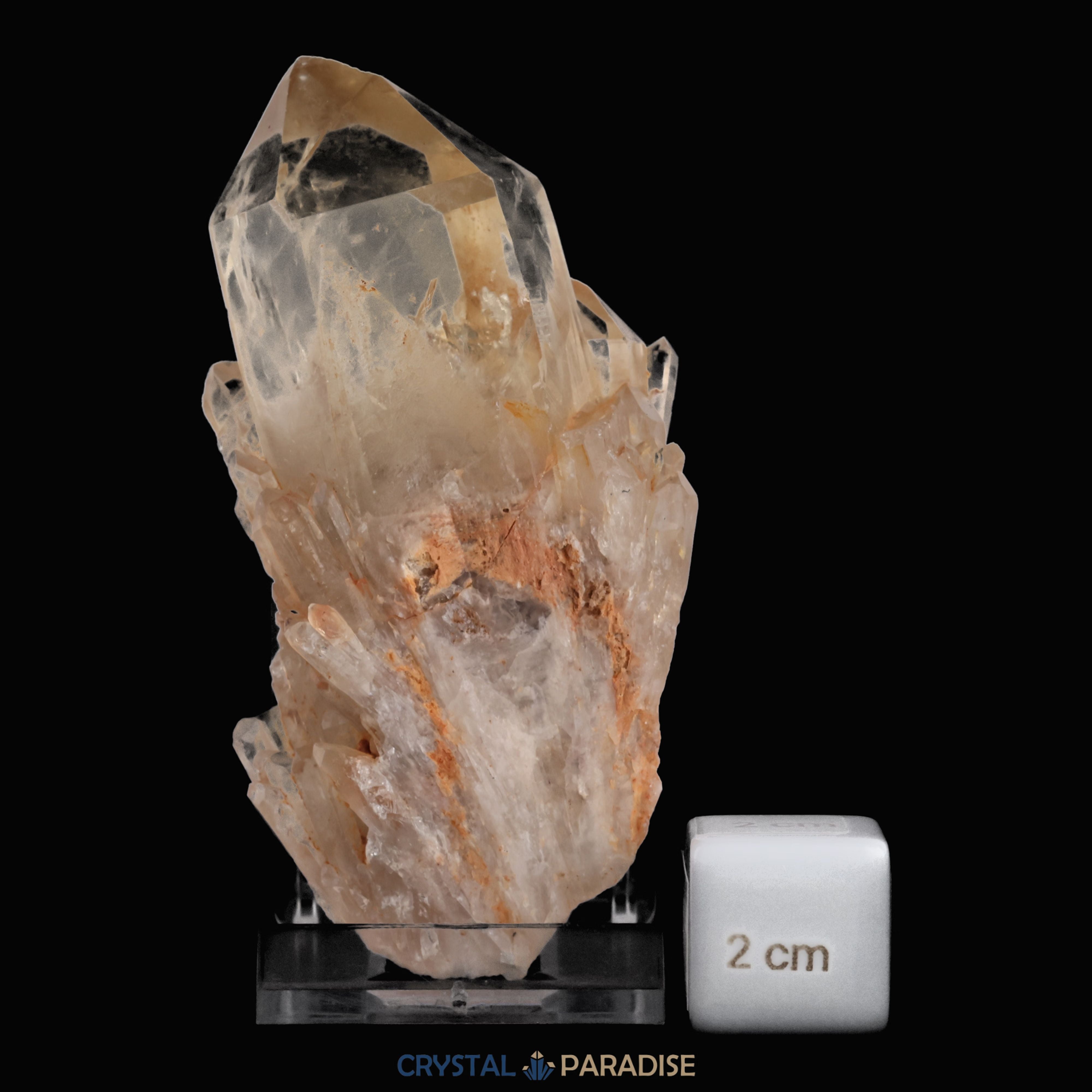 Citrin Stufe aus Kundalini, Kongo (169g) - unbehandelt – Ansicht 5