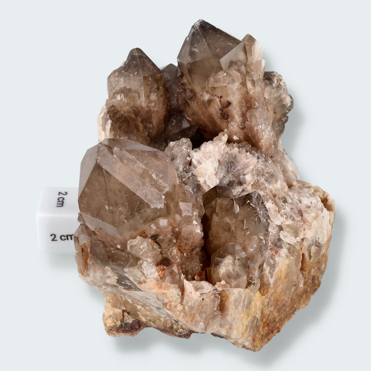Citrin Stufe aus Kunduluni, Kongo (1111g) - unbehandelt – Ansicht 3
