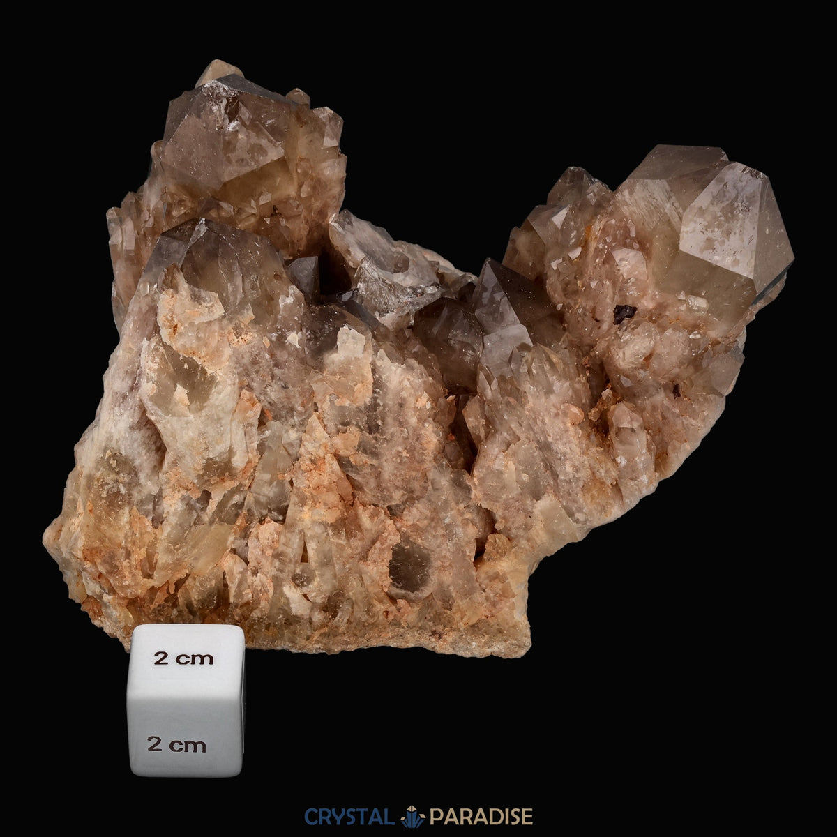 Citrin Stufe aus Kunduluni, Kongo (1111g) - unbehandelt – Ansicht 4