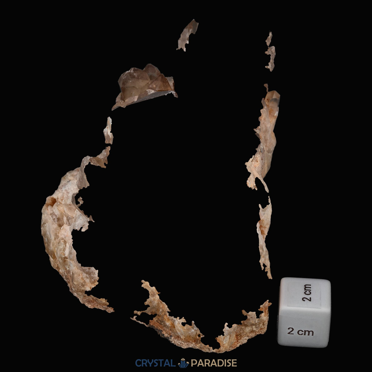 Citrin Stufe aus Kunduluni, Kongo (1111g) - unbehandelt – Ansicht 9