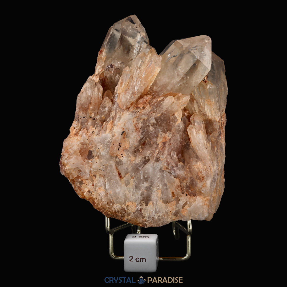 Citrin Stufe aus Kunduluni, Kongo (1821g) - unbehandelt – Ansicht 5