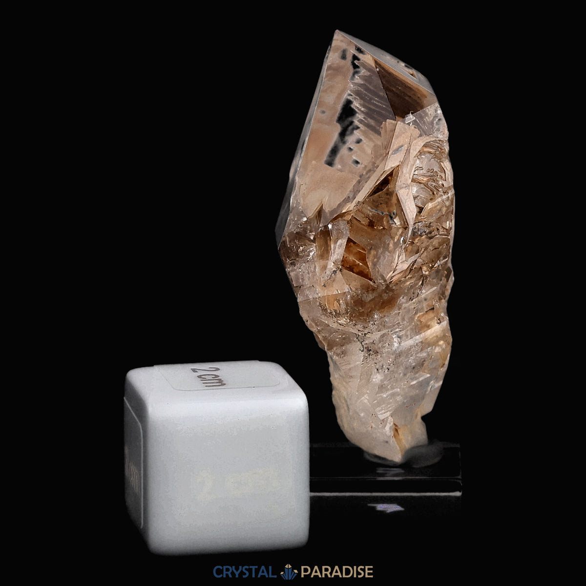 Fensterquarz aus Namibia (40g) – Ansicht 3