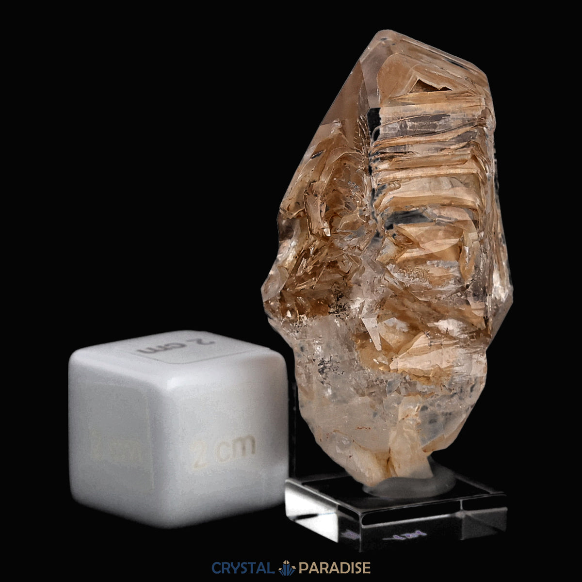Fensterquarz aus Namibia (40g) – Ansicht 4