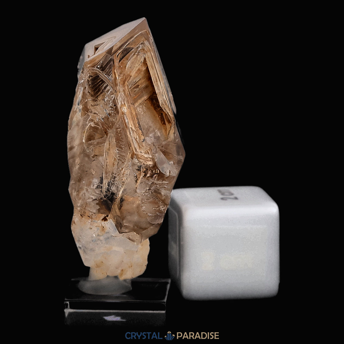 Fensterquarz aus Namibia (40g) – Ansicht 6