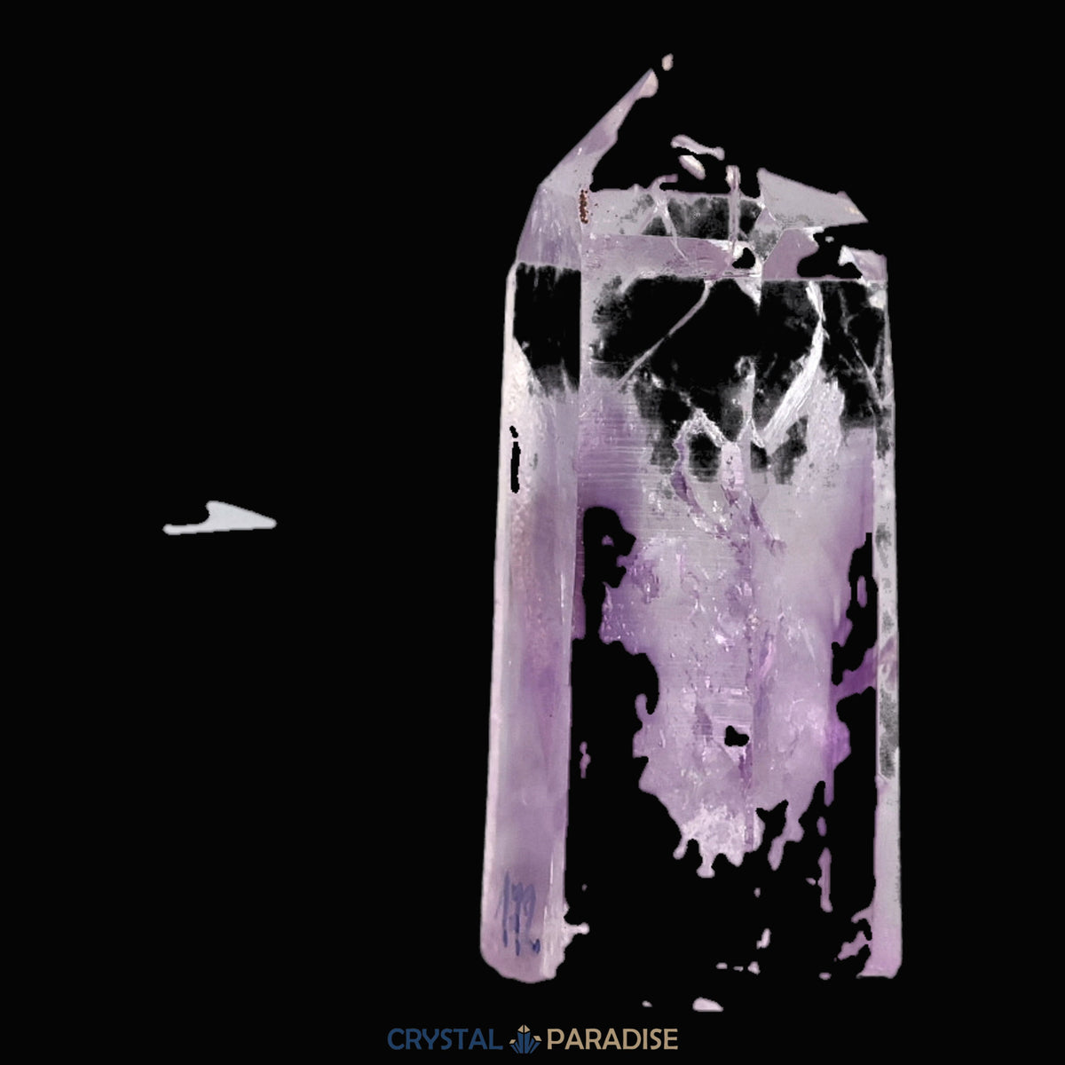Goboboseb Amethyst mit Libelle aus Namibia (21g) – Ansicht 4