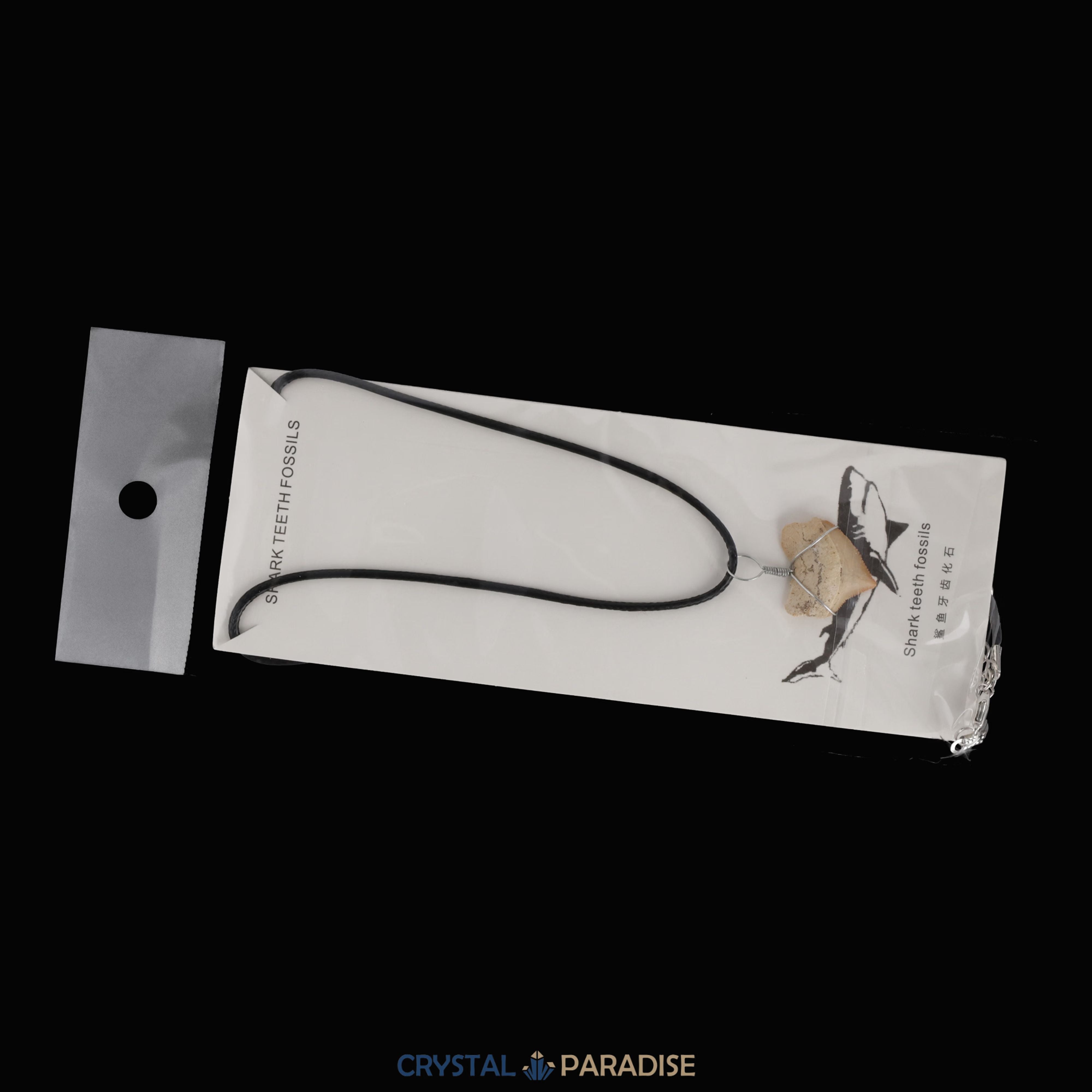 Haifischzahn Halskette (Fossil) – Ansicht 10