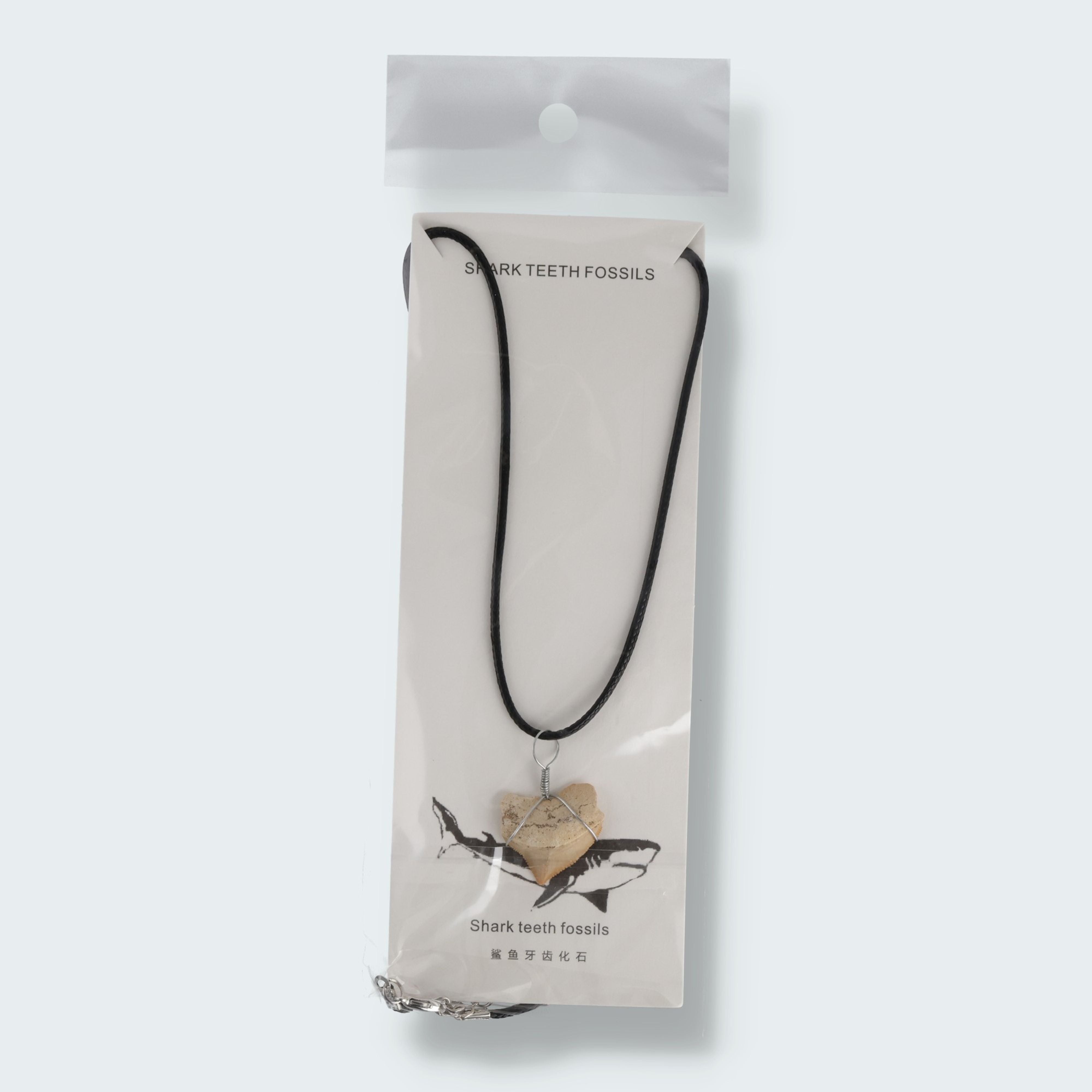Haifischzahn Halskette (Fossil) – Ansicht 2