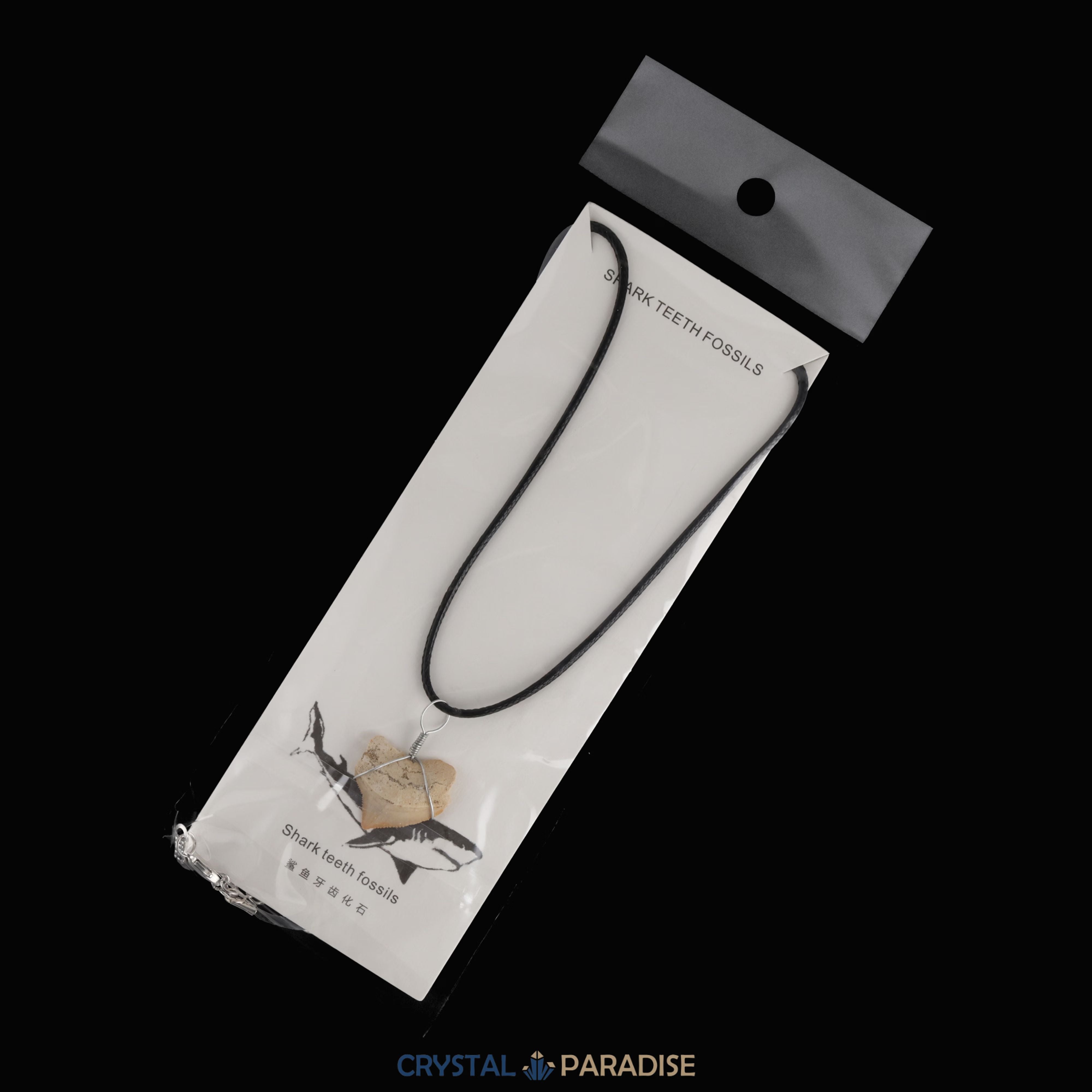 Haifischzahn Halskette (Fossil) – Ansicht 6