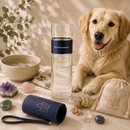 Golden Retriever neben einer crystalpower Trinkflasche mit Wassersteinen