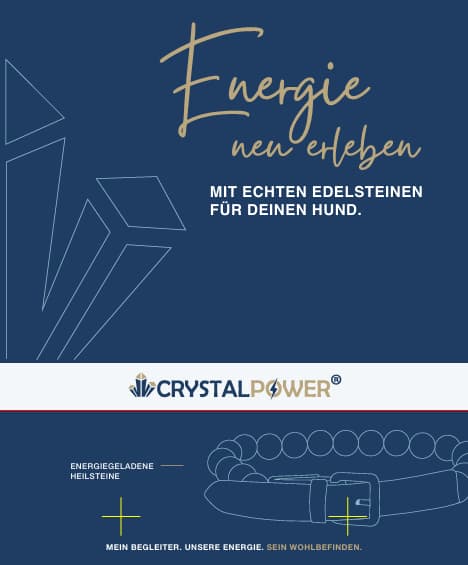 Türkis–unterstützt Kraft, Ausdauer und Widerstandskraft- Hundehalsband crystalpower® - crystal paradise
