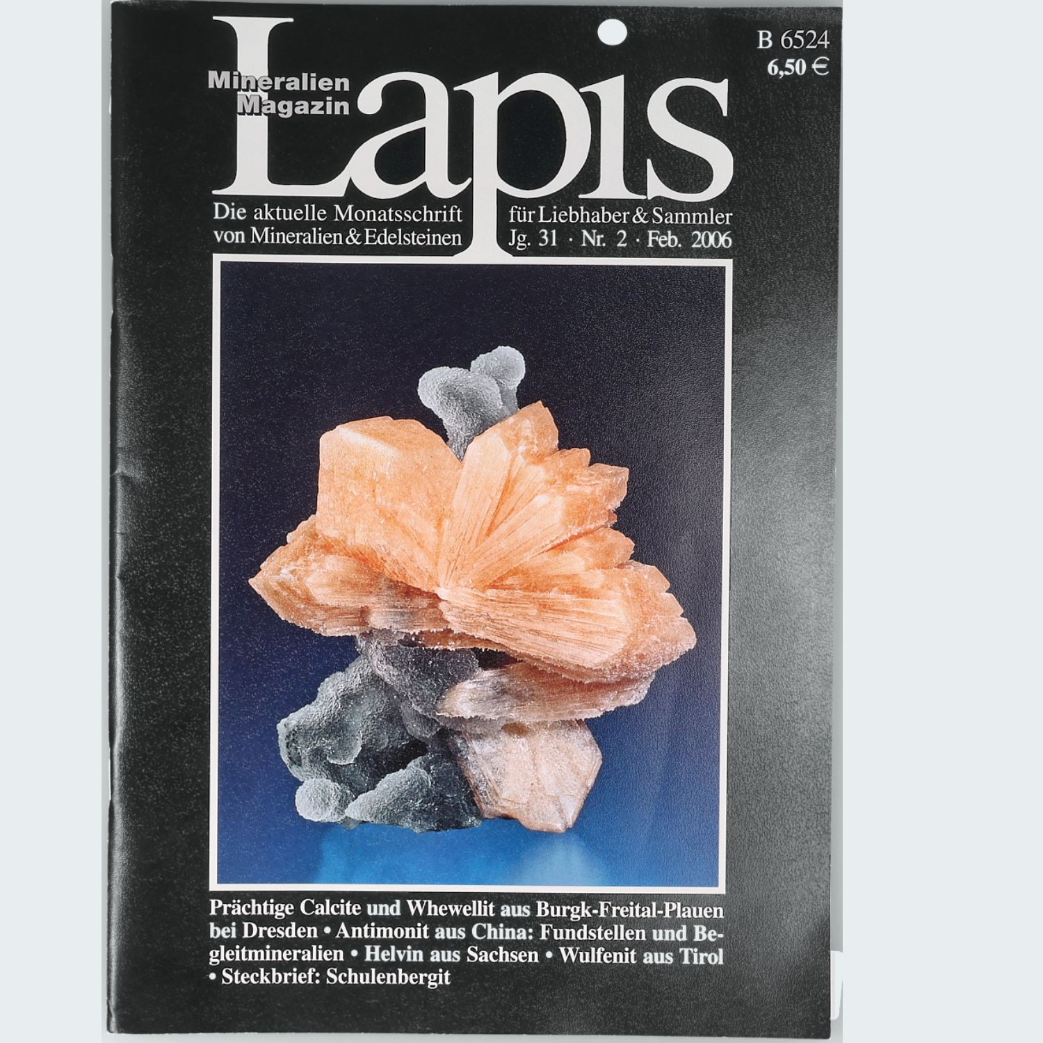 Lapis Mineralien Magazin — Jahrgang 2006 (Jg. 31)