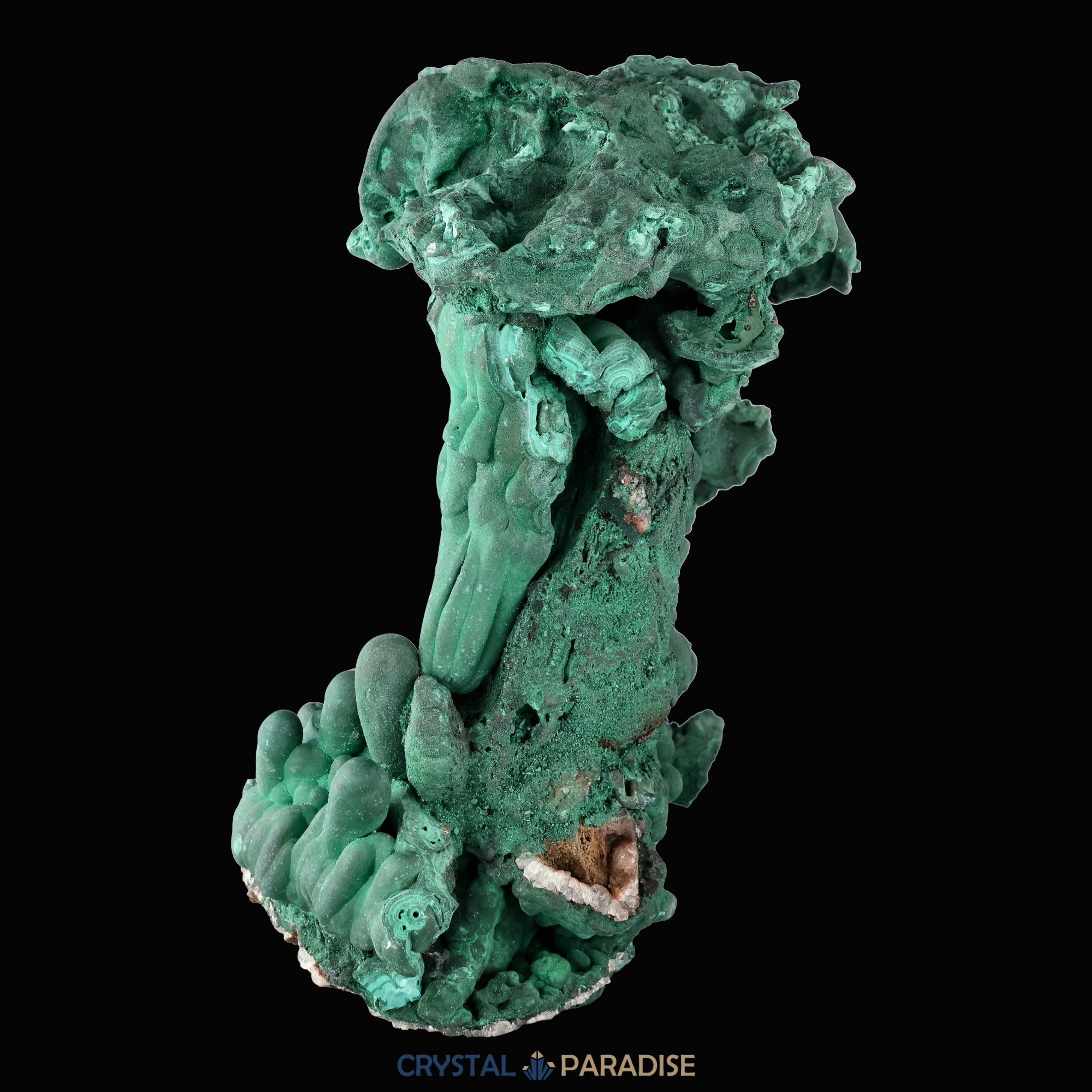 Malachit Grossstufe aus der Tantara Mine, Kongo (6429g) - selten – Ansicht 6