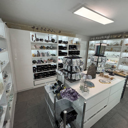 Unser Showroom