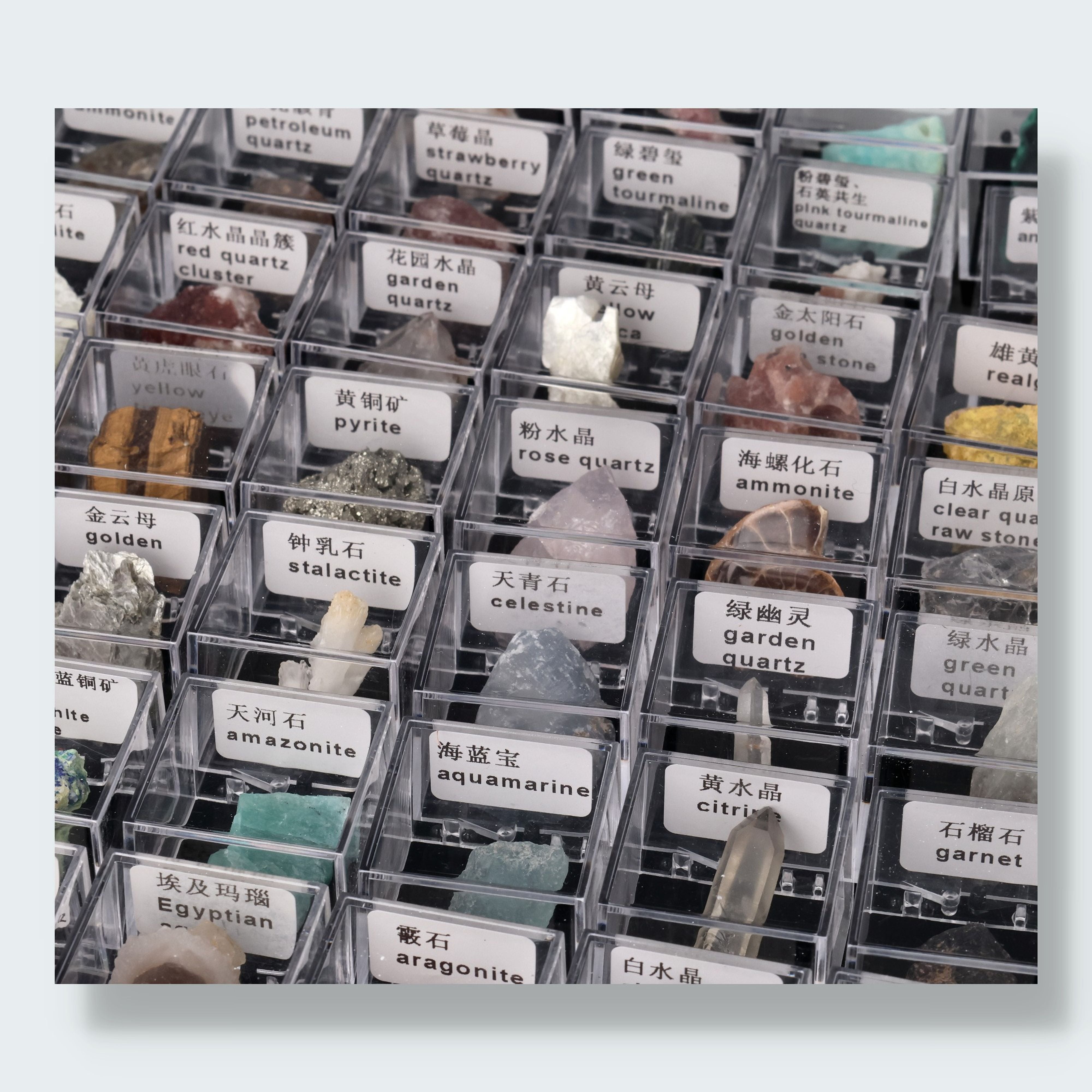 Mystery Specimen Box (3,5 cm) – Ansicht 2