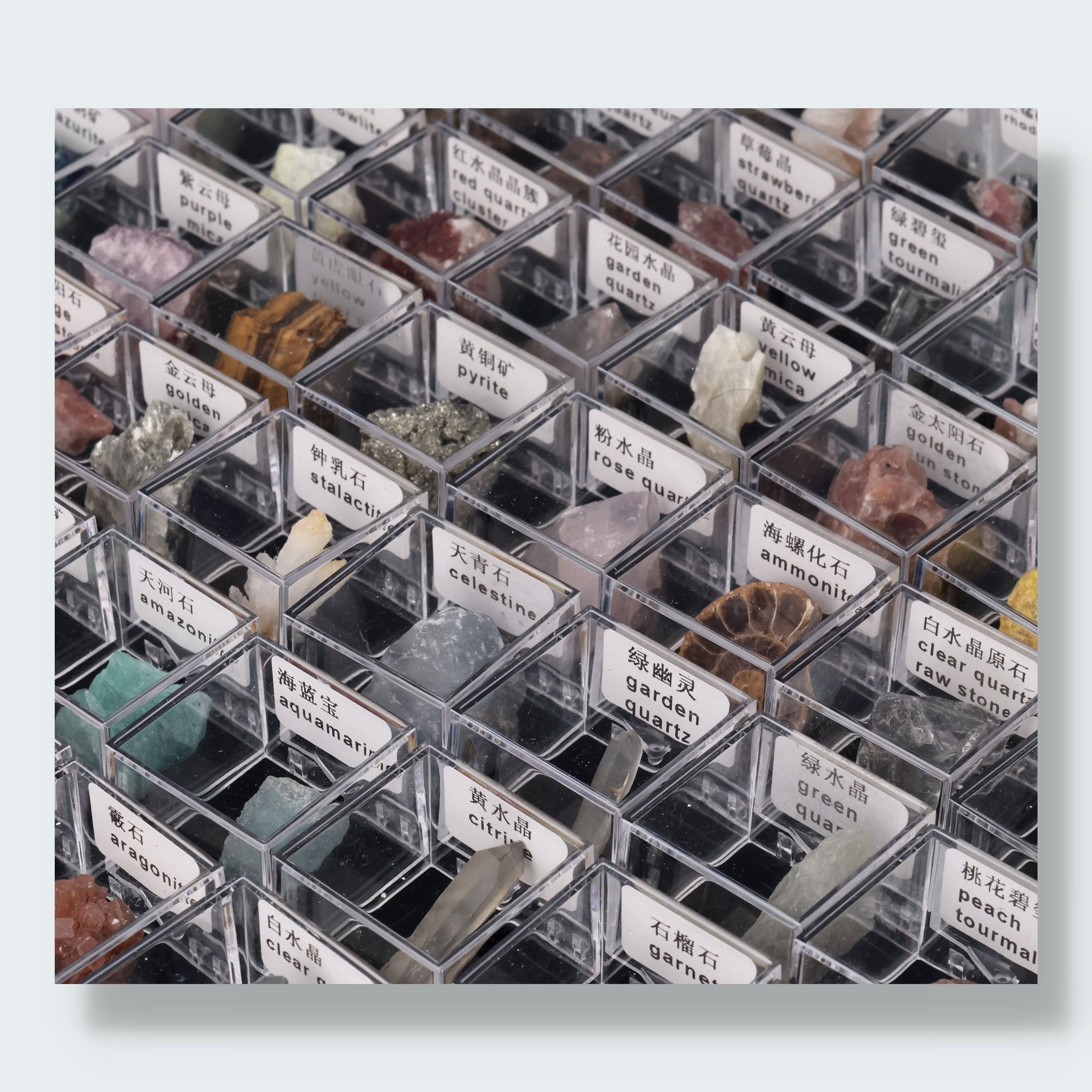 Mystery Specimen Box (3,5 cm) – Ansicht 3