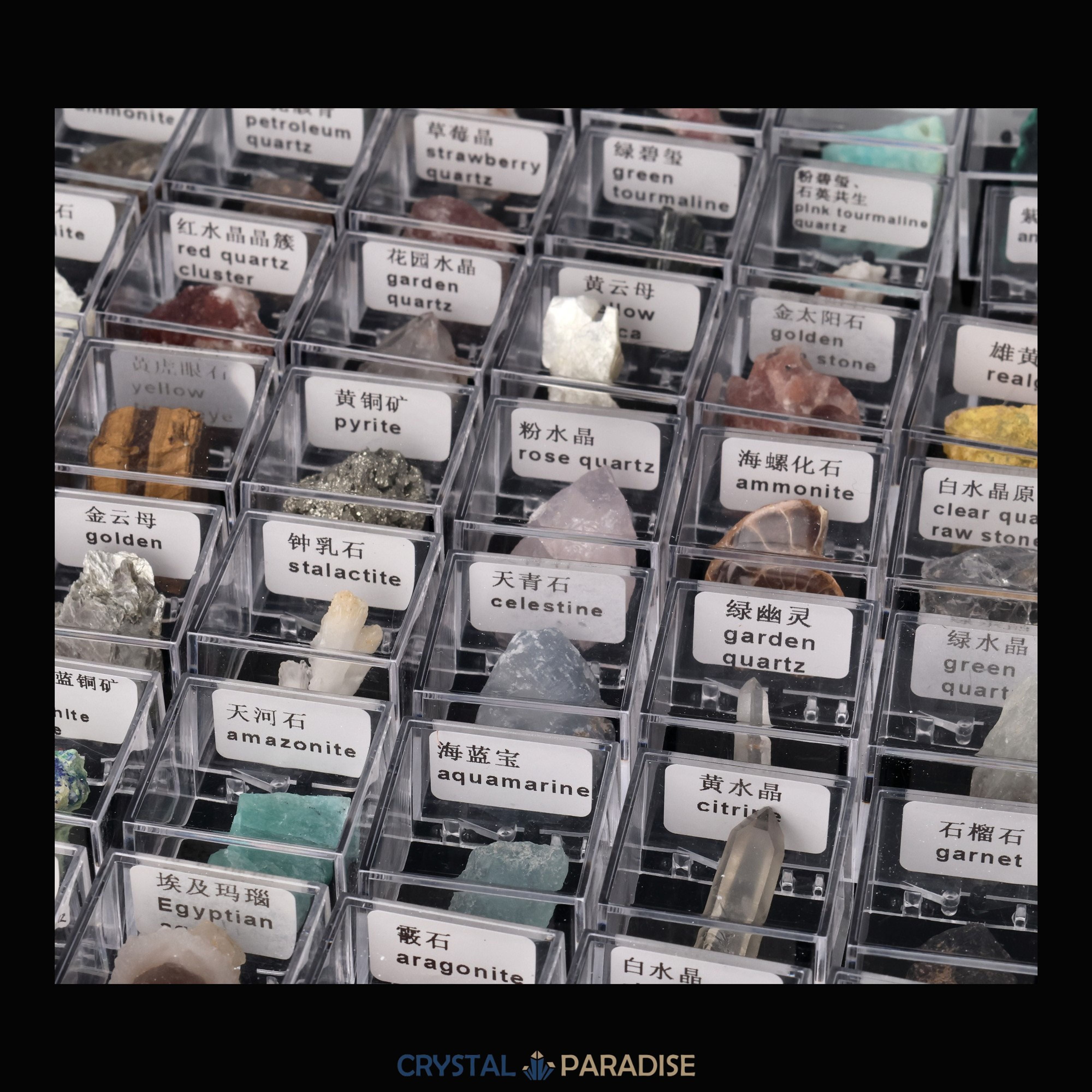 Mystery Specimen Box (3,5 cm) – Ansicht 5