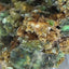 Smithsonite from Indonesia (475g) - hand specimen - glittering green crystals in grape shape 