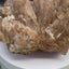 Citrine Point - 1 piece (approx. 100-150g) 