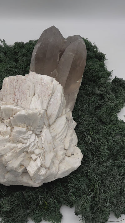 Außergewöhnlicher Riesen Rauchquarz aus dem Skardu Tal in Pakistan- mega museumsqualität!! - crystal paradise
