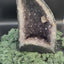 Amethyst Geode XL from Indonesia (1240g) - very decorative