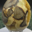 Septarie Egg (561g) - large with very beautiful druzys