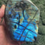 Labradorite Freeform from Madagascar (921g) - fantastic play of colors 