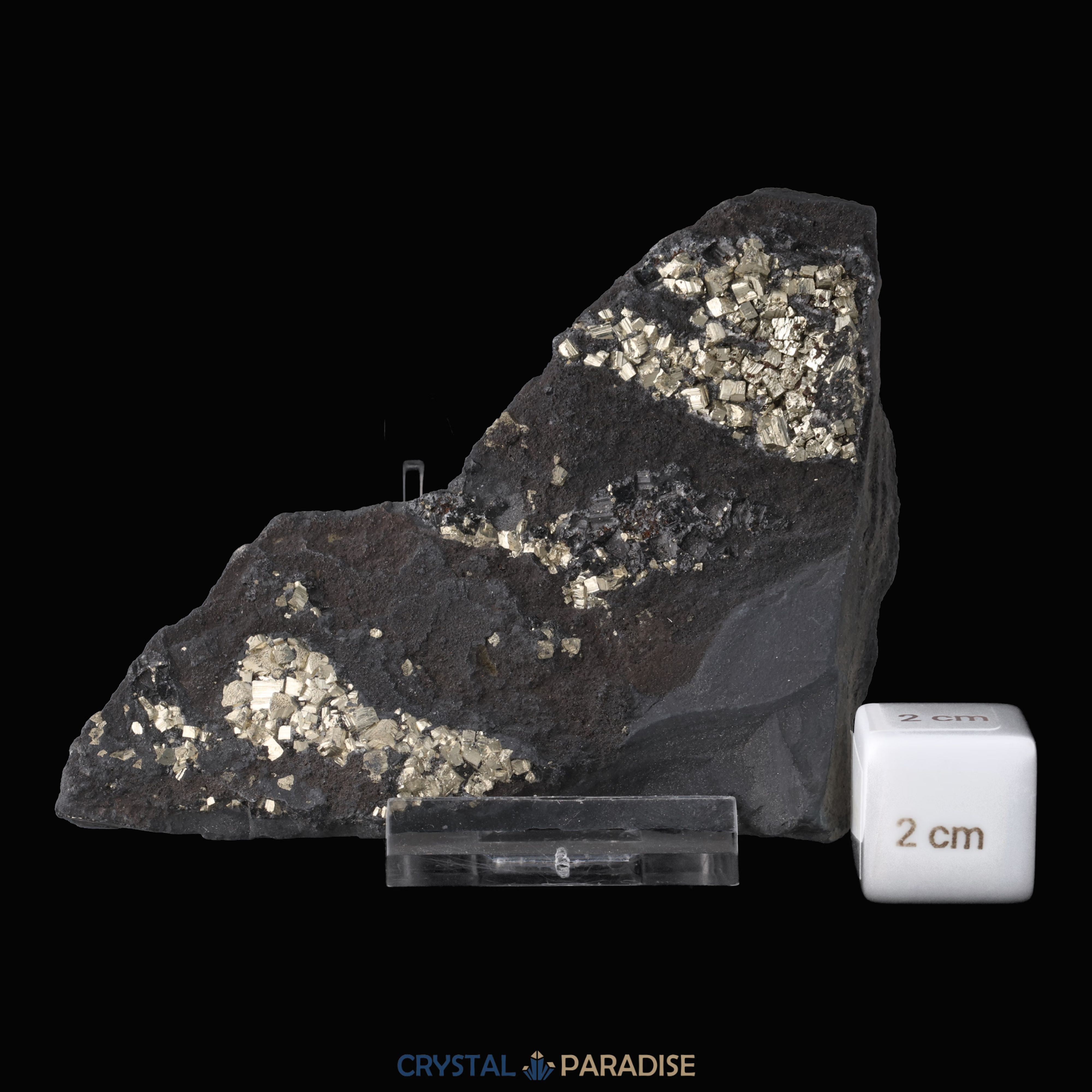 Pyrit auf Shungit aus Brasilien (188g) – Ansicht 3