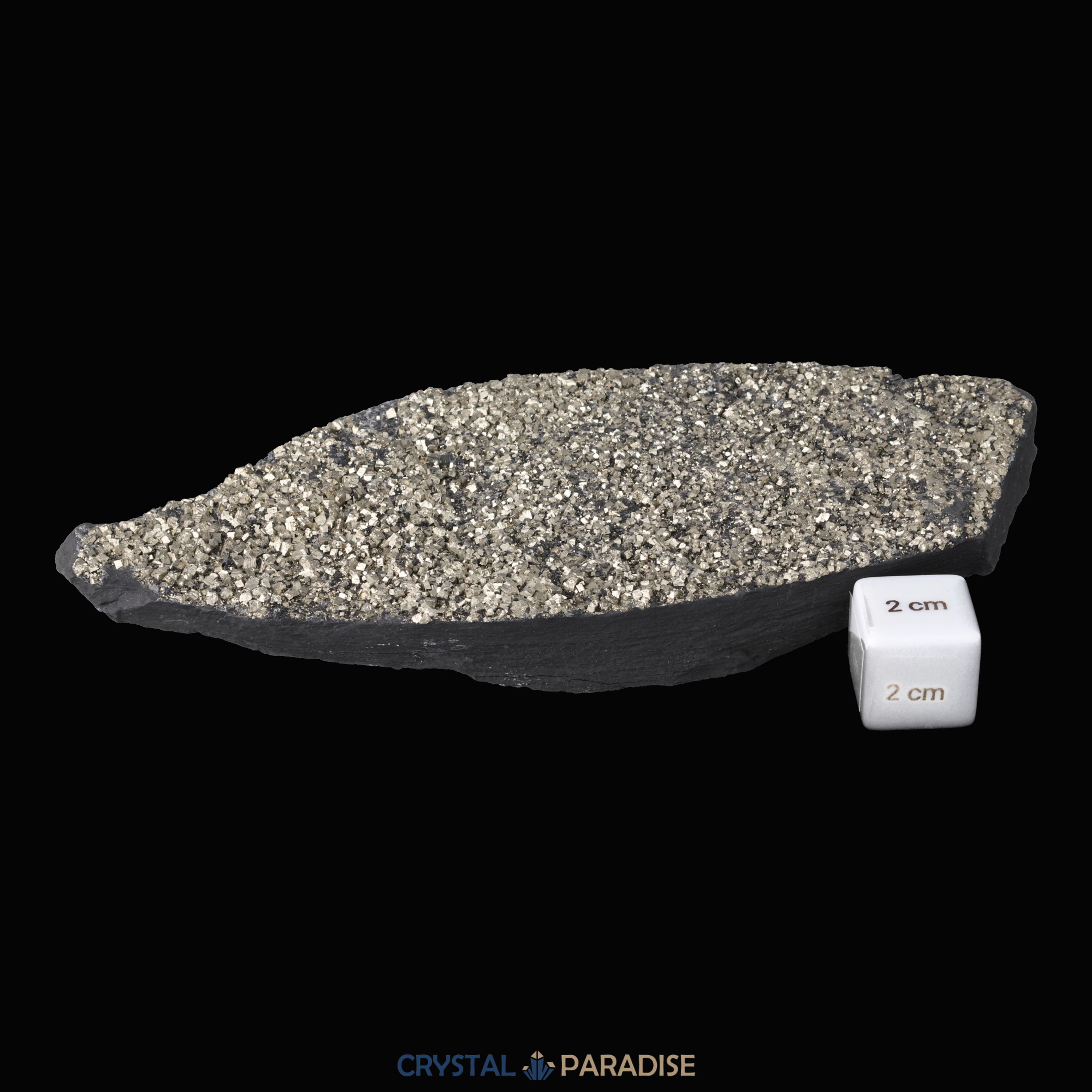 Pyrit auf Shungit aus Brasilien (495g) – Ansicht 2