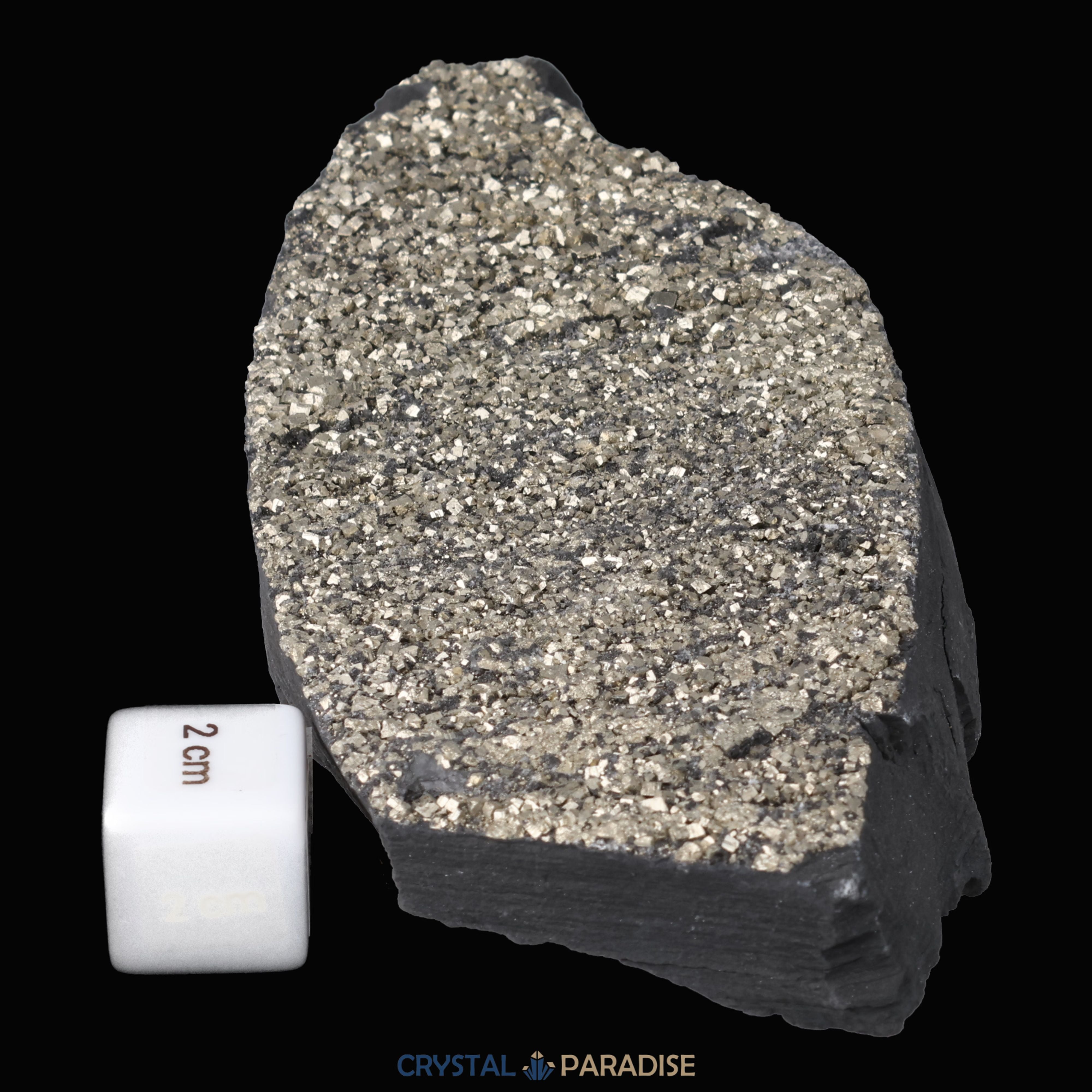 Pyrit auf Shungit aus Brasilien (495g) – Ansicht 4